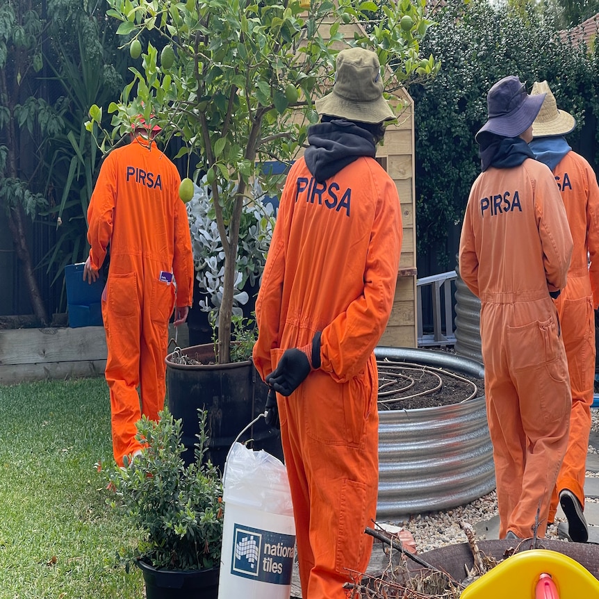 A group of people in orange fruit fly hunting suits.